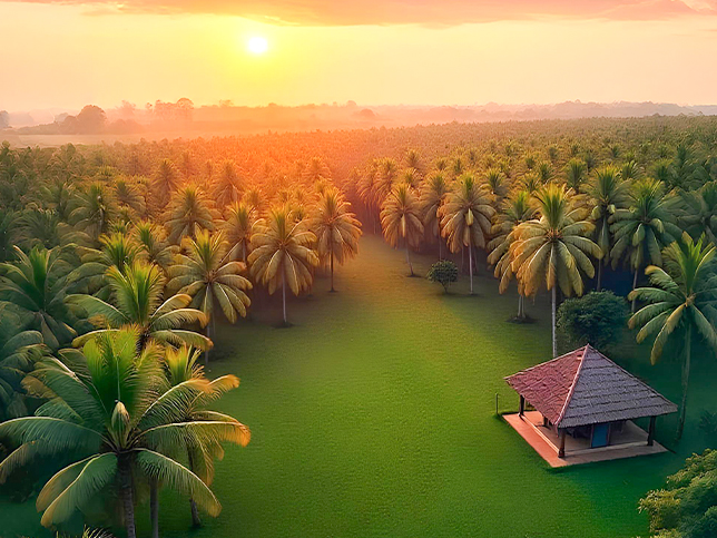 Vasu Farm Vastu Farms - The Land Of Wealth And Prosperity | Vastu-Certified Plots